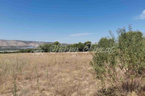 Terra a Biar, Alicante, Biar - € 125.000 | Ref: SF0426 - foto 2